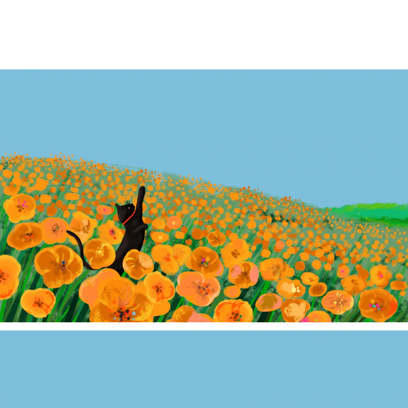 Zdjęcie produktu 1